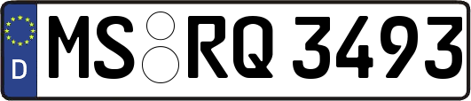 MS-RQ3493