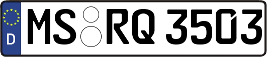 MS-RQ3503