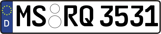 MS-RQ3531
