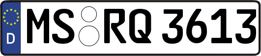 MS-RQ3613