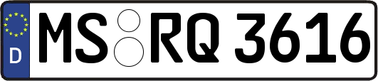 MS-RQ3616