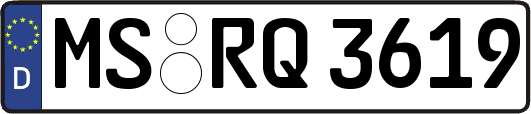 MS-RQ3619