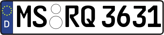 MS-RQ3631