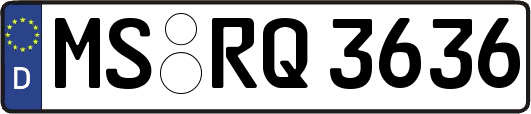 MS-RQ3636