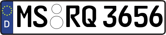 MS-RQ3656