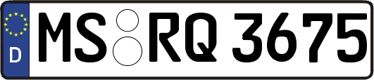 MS-RQ3675