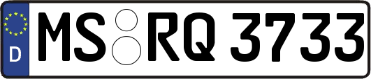MS-RQ3733