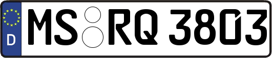 MS-RQ3803