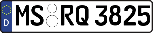 MS-RQ3825