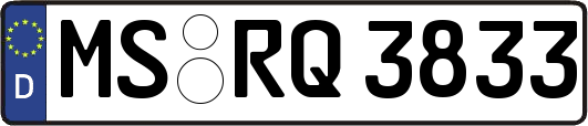 MS-RQ3833