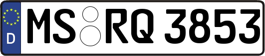 MS-RQ3853