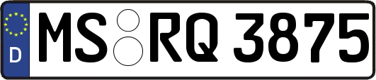 MS-RQ3875