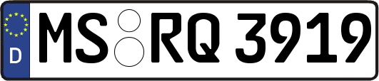MS-RQ3919