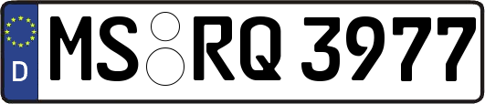 MS-RQ3977