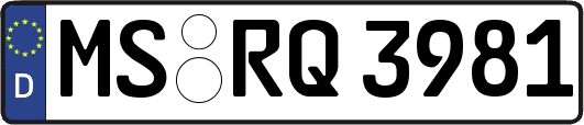 MS-RQ3981