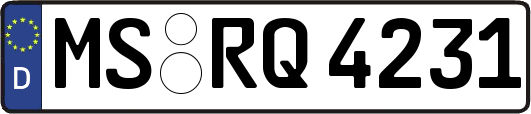 MS-RQ4231