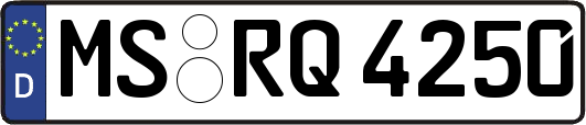 MS-RQ4250