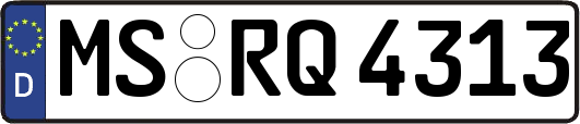 MS-RQ4313