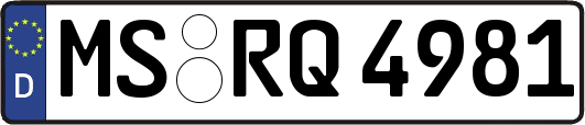 MS-RQ4981