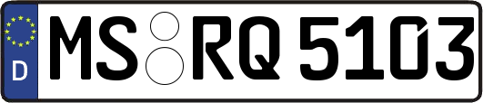MS-RQ5103