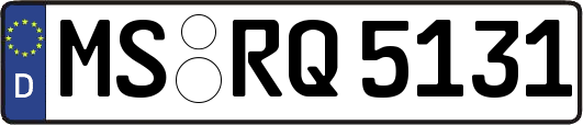 MS-RQ5131