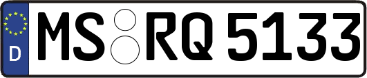 MS-RQ5133