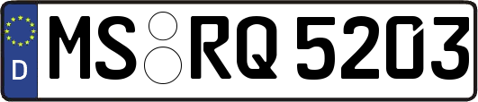 MS-RQ5203