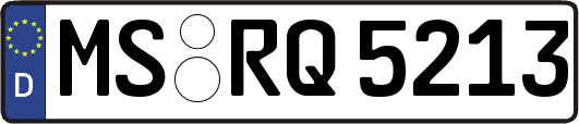 MS-RQ5213