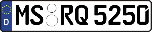 MS-RQ5250