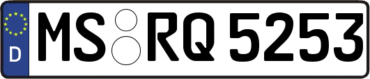 MS-RQ5253