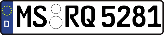 MS-RQ5281