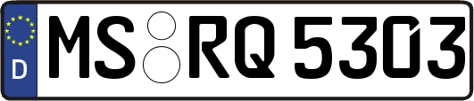 MS-RQ5303