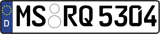 MS-RQ5304