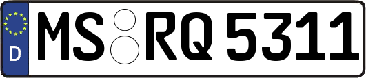 MS-RQ5311