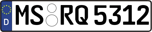 MS-RQ5312