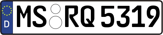 MS-RQ5319