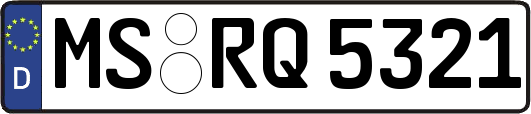 MS-RQ5321