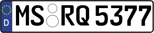 MS-RQ5377