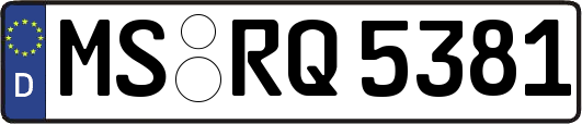 MS-RQ5381