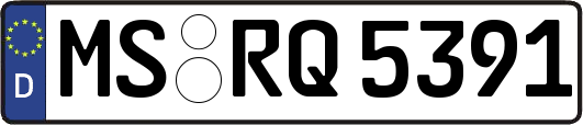 MS-RQ5391