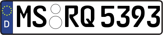 MS-RQ5393