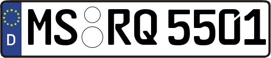 MS-RQ5501