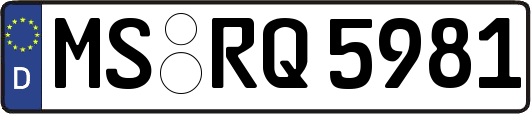 MS-RQ5981
