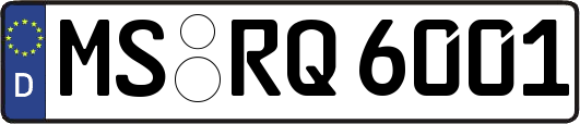 MS-RQ6001