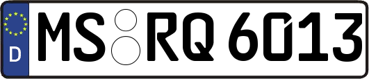 MS-RQ6013
