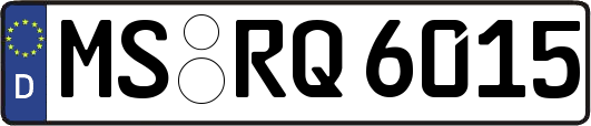 MS-RQ6015