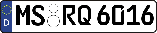 MS-RQ6016