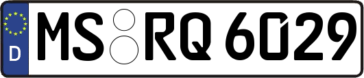MS-RQ6029