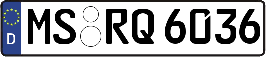 MS-RQ6036
