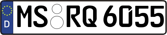 MS-RQ6055